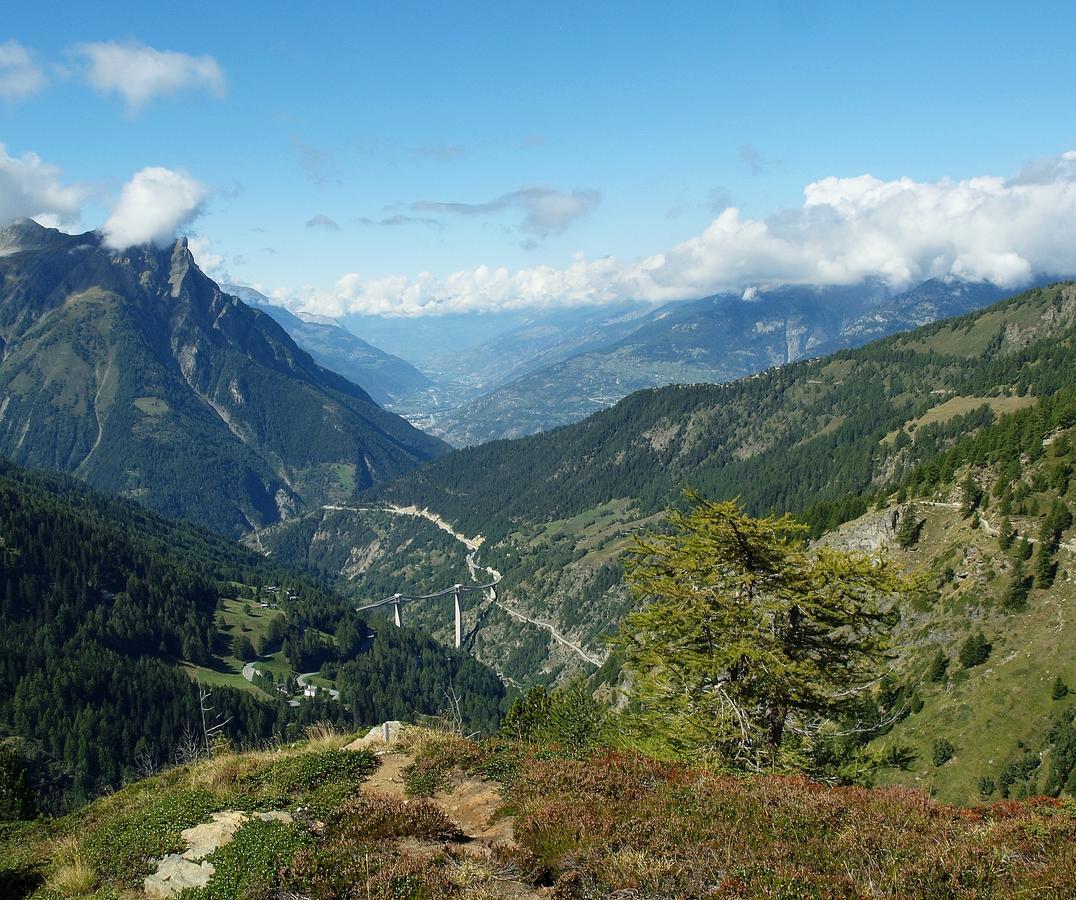 Gruppenhaus Im Walliser Alpstyle Rosswald Eksteriør bilde
